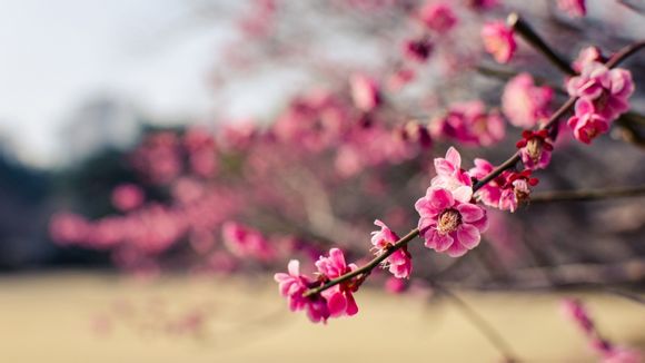 石家庄天山海世界门票价目表
