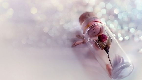 南康白起跳江后张先生态度